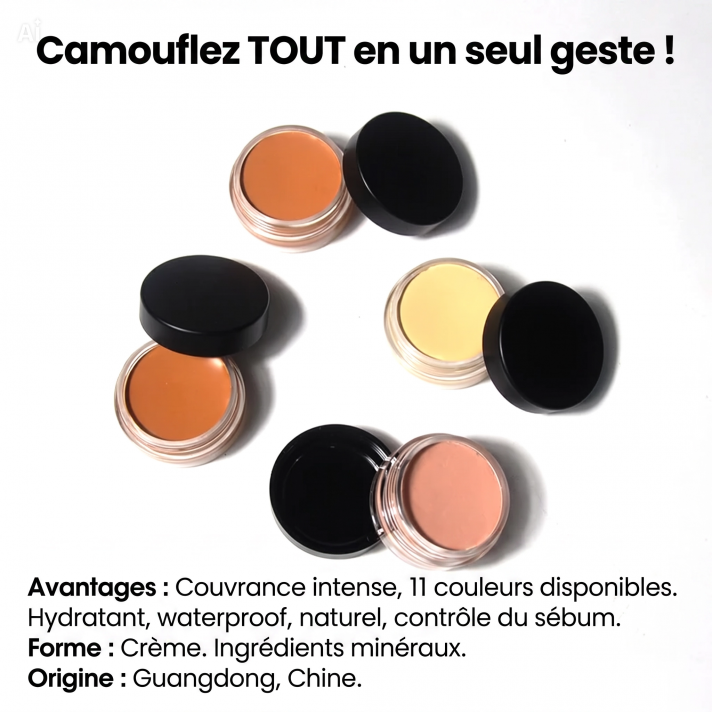 Concealer 11 couleurs peaux noires strong coverage waterproof oil control fundy cream mineral all skin types
